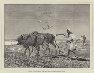 Egypt som det er, pløyer i Nedre Egypt